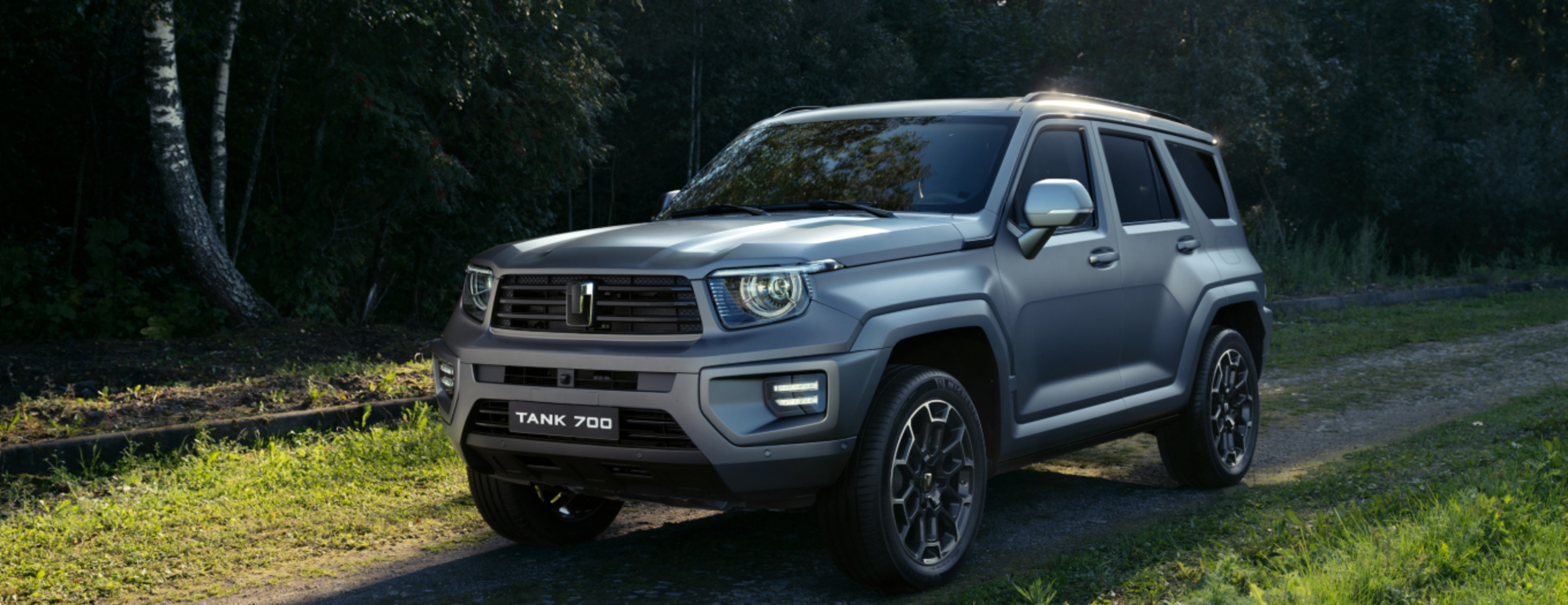 Какой двигатель стоит на TANK 700